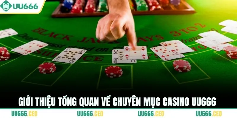 Giới thiệu tổng quan về chuyên mục casino UU666