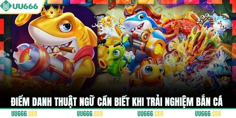 Điểm danh thuật ngữ cần biết khi trải nghiệm bắn cá